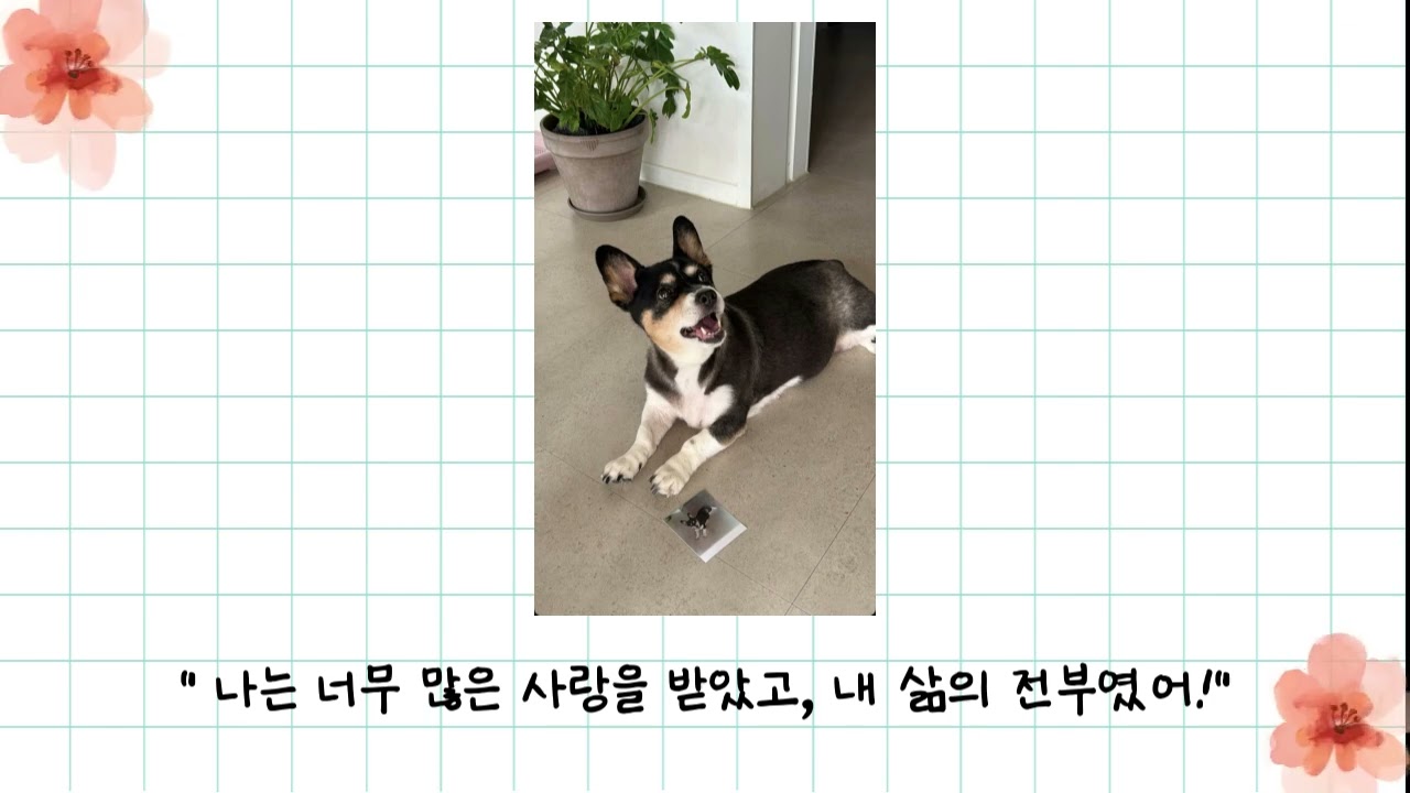 루니