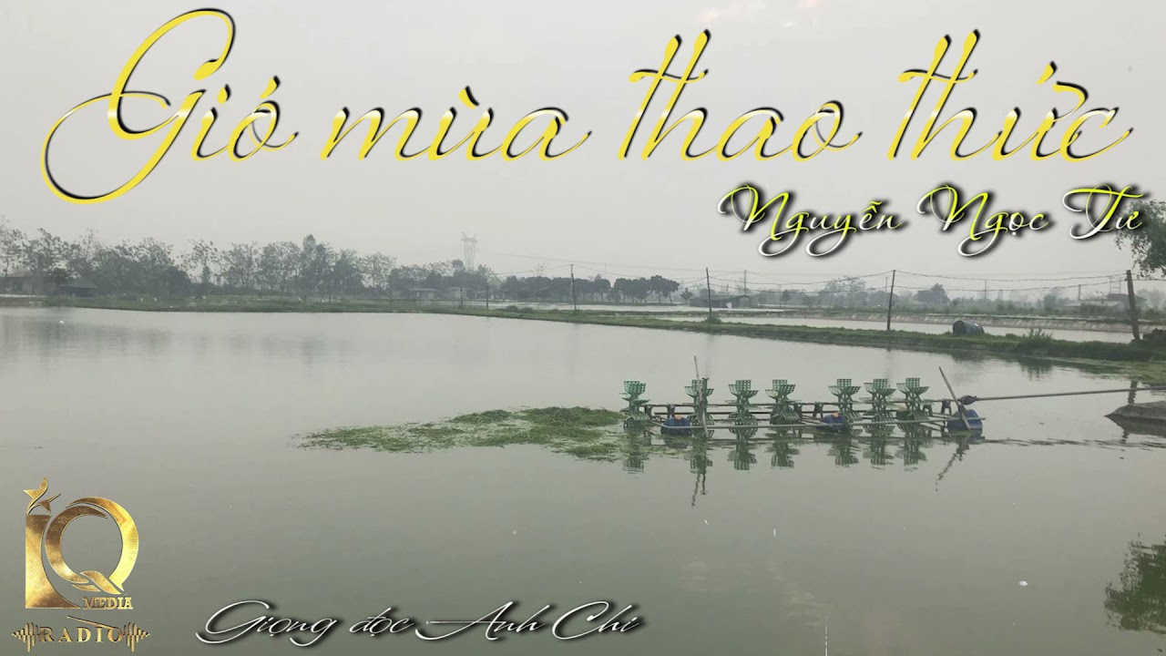 Gió Mùa Thao Thức | Nguyễn Ngọc Tư | Anh Chi | IQ Radio