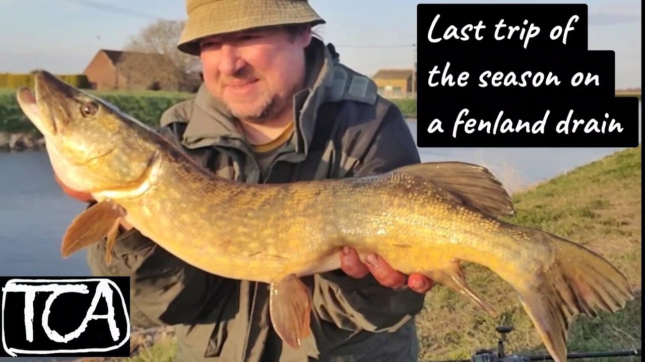 End of season Pike fishing on a fenland drain VID 019