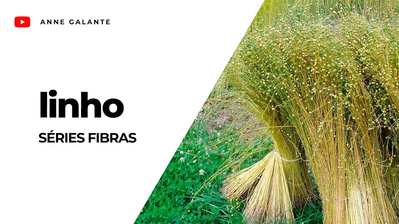 Linho | Série Fibras | Anne Galante