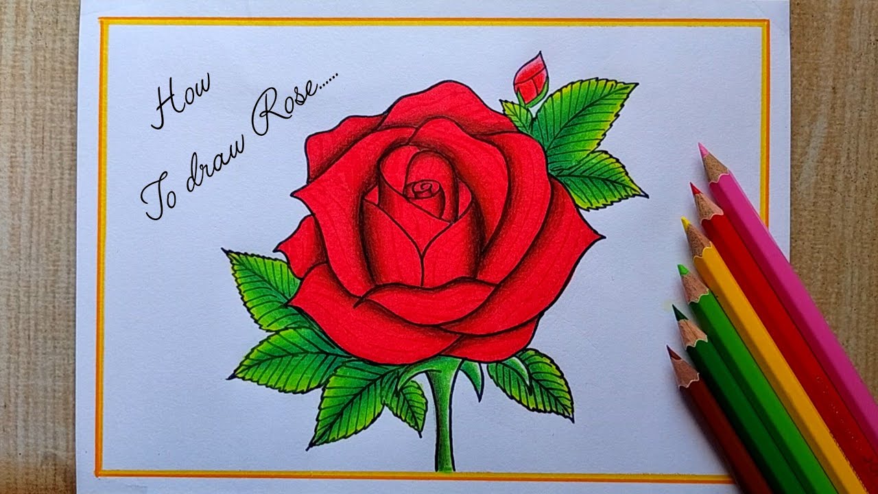 How to draw Rose Step by step| Rose Flower drawing| Valentine's day Special drawing|Red Rose Drawing