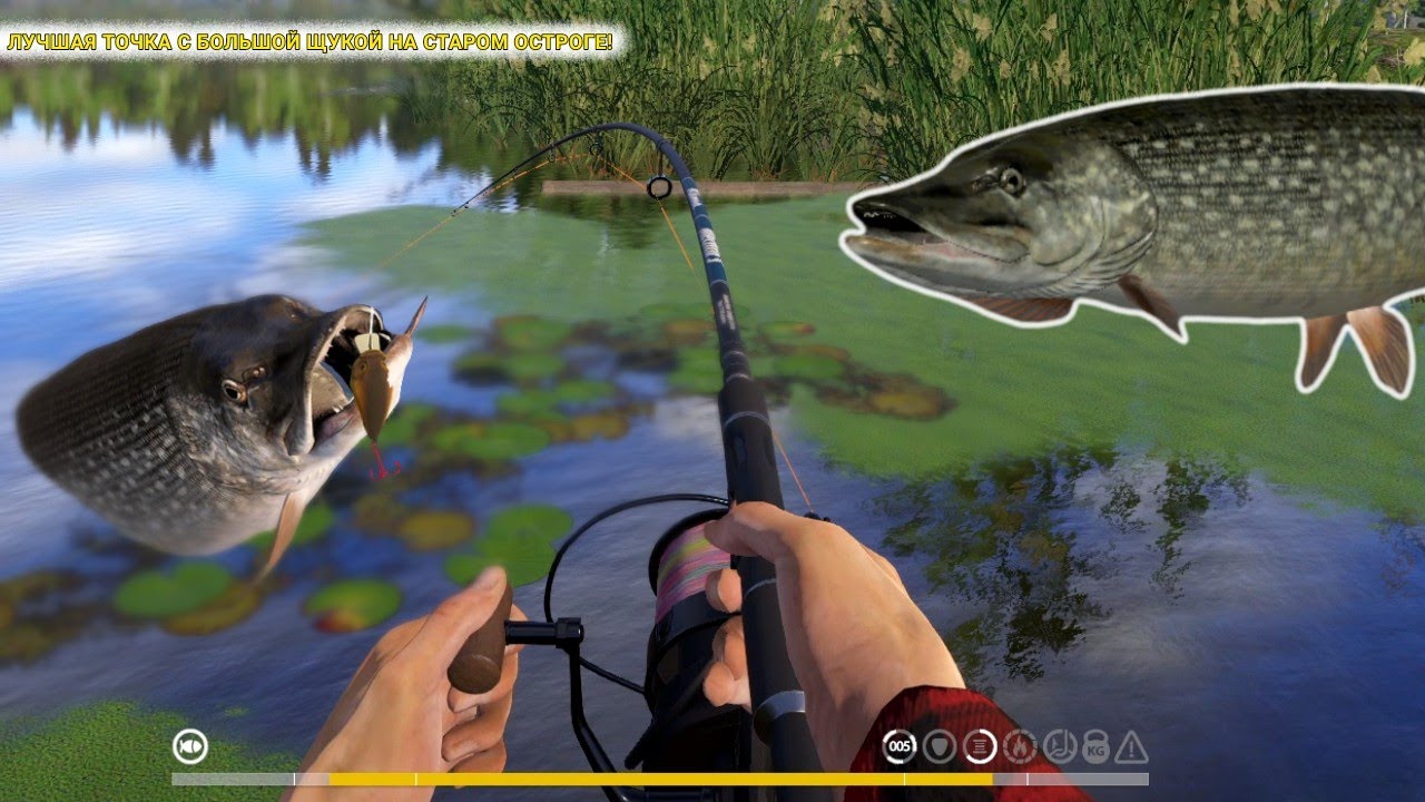 ЛУЧШАЯ ТОЧКА С БОЛЬШОЙ ЩУКОЙ НА СТАРОМ ОСТРОГЕ! МОЙ САМЫЙ ОБИДНЫЙ НЕДОТРОФЕЙ!