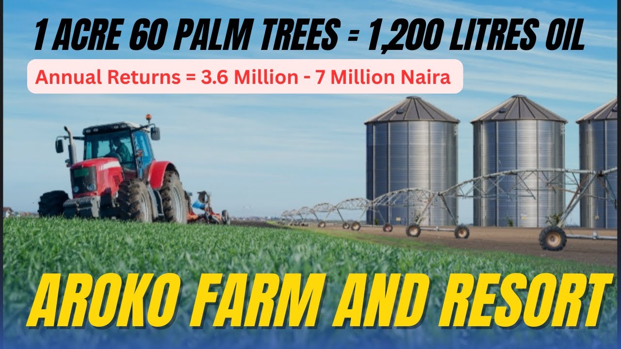 Nigerians Abroad are MAKING MONEY with Agro Real Estate SECRETS