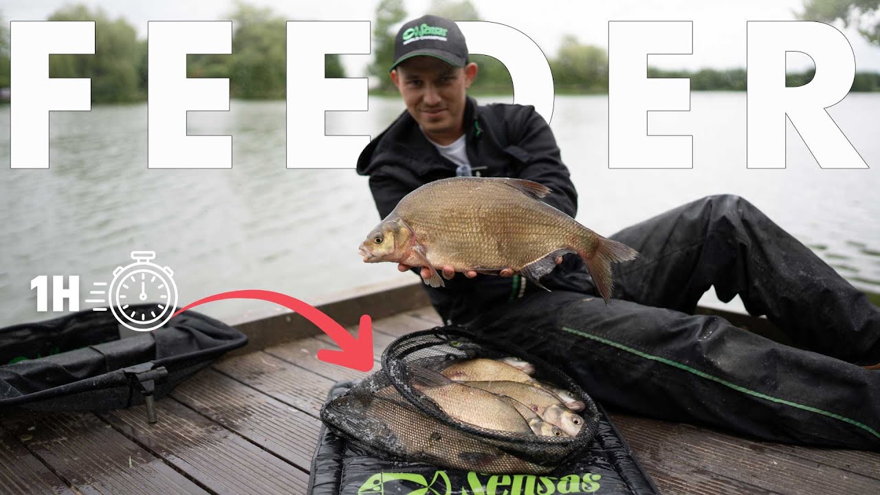 Pêche rapide au feeder : optimisez votre installation et gagnez du temps au bord de l’eau !