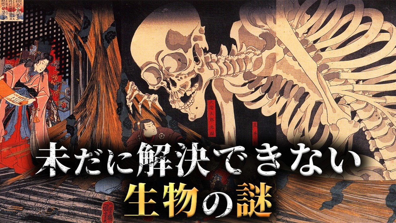 【未解明】現代の最新調査でも解明できない生物の謎4選がヤバすぎた...。Part13【 生物学 ミステリー 動物 】