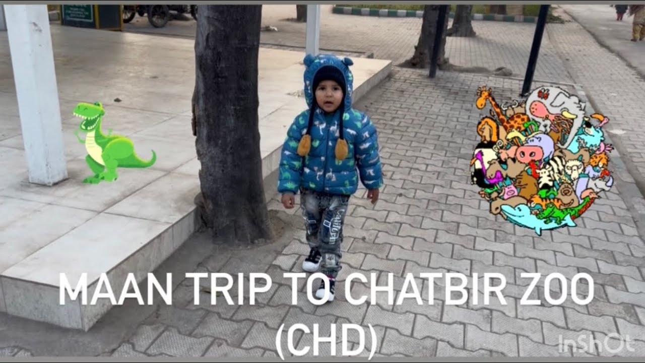 Maan Visit To Chatbir Zoo Chandigarh 🐯🐒🦆🦋🐌