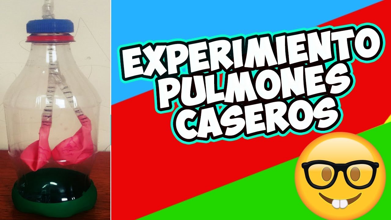 EXPERIMENTO CASERO Sistema Respiratorio 🔍HOME EXPERIMENT Respiratory System