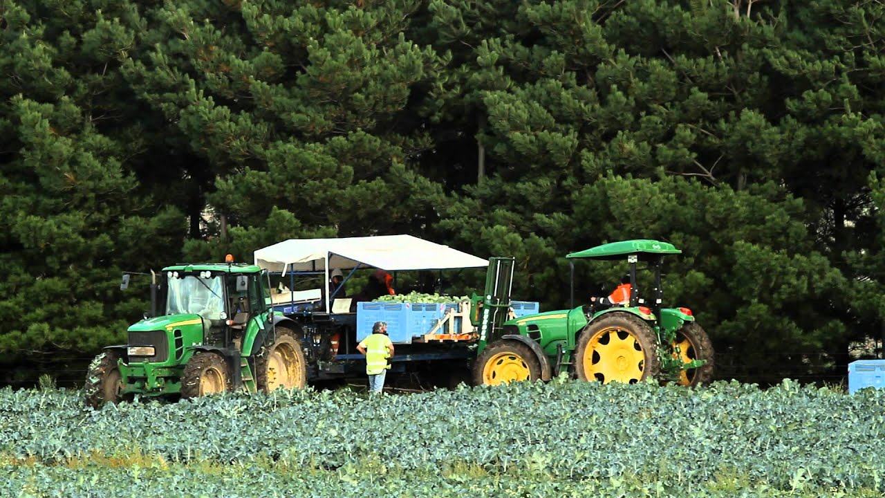 Agriskills - Science and Technology