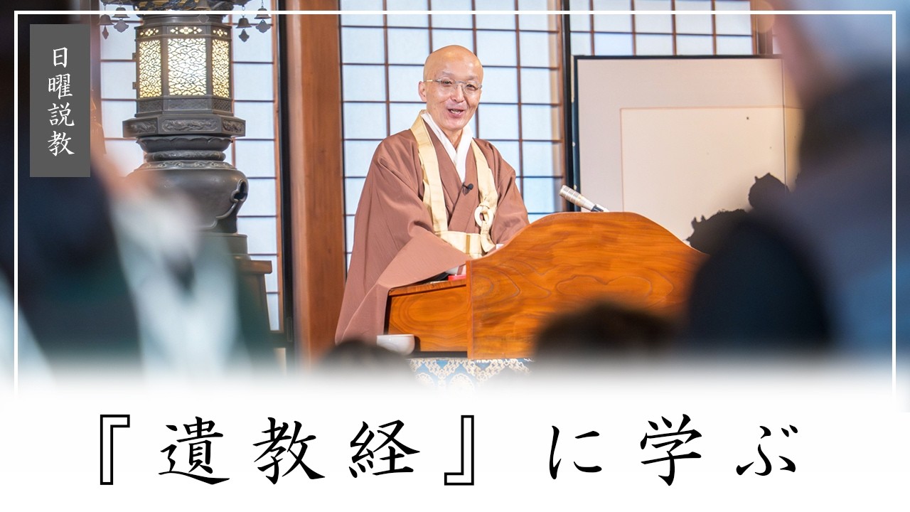 【日曜説教：令和8年2月】「『遺教経』に学ぶ」 ｜ 臨済宗円覚寺派管長 横田南嶺老師
