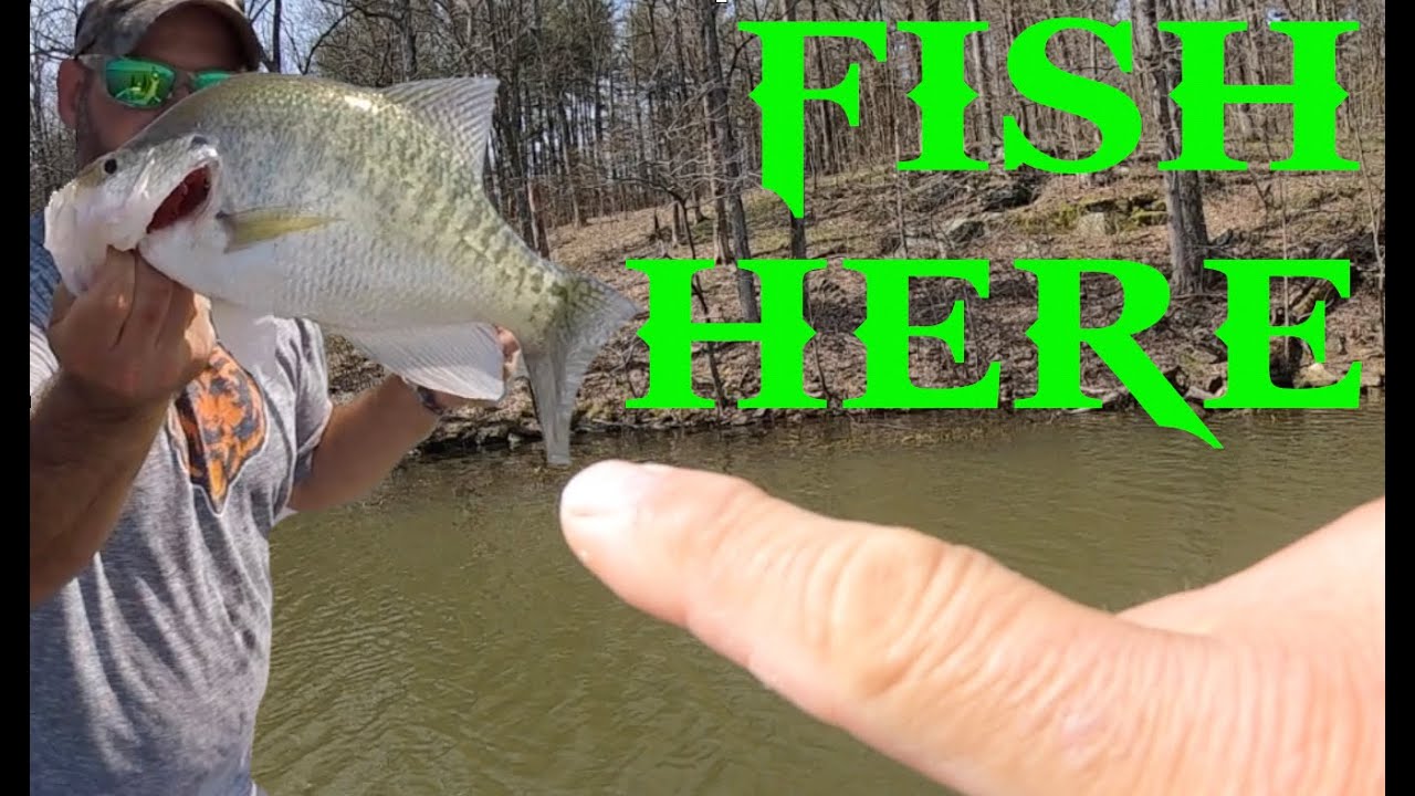Crappie Spawn where to fish