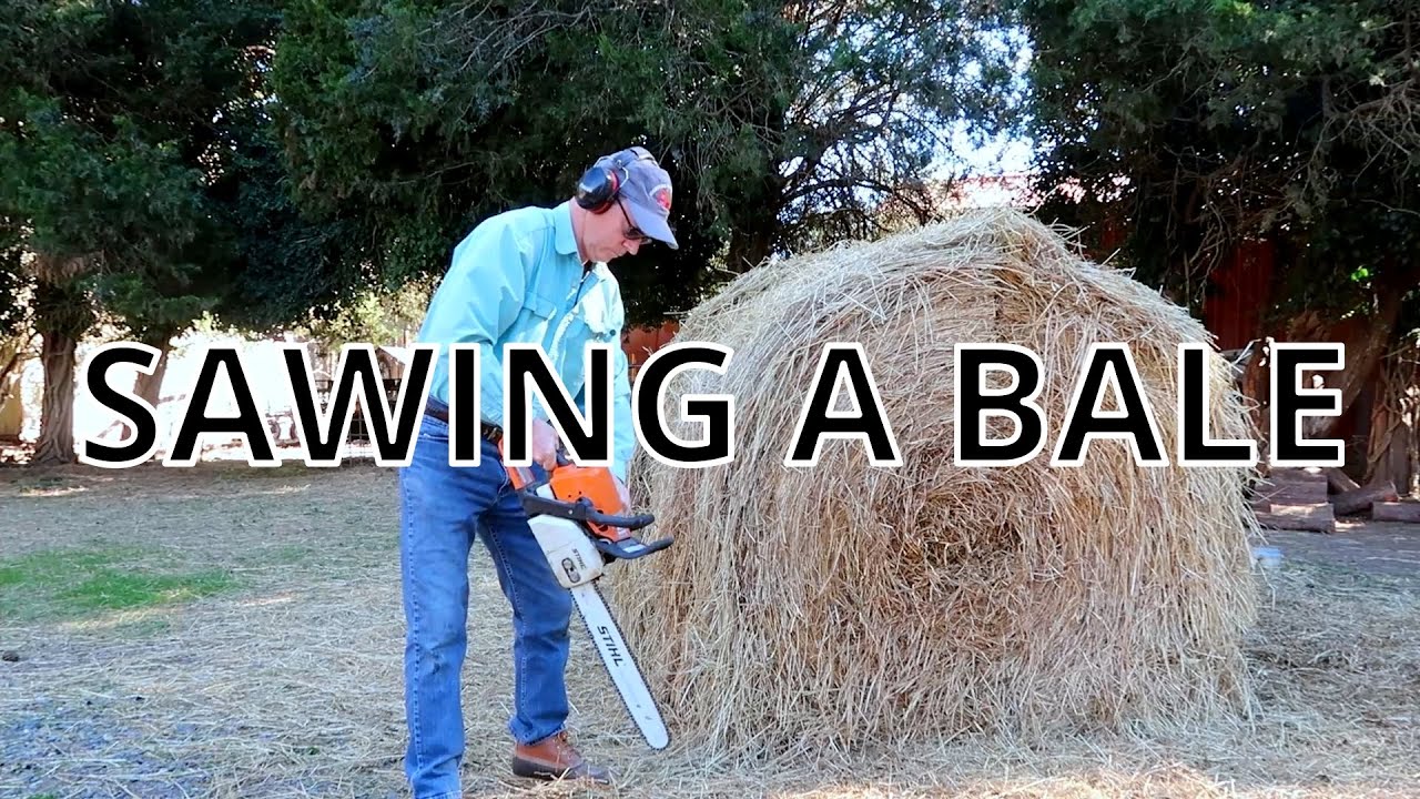 CUTTING LARGE ROUND HAY BALES WITH A CHAIN SAW