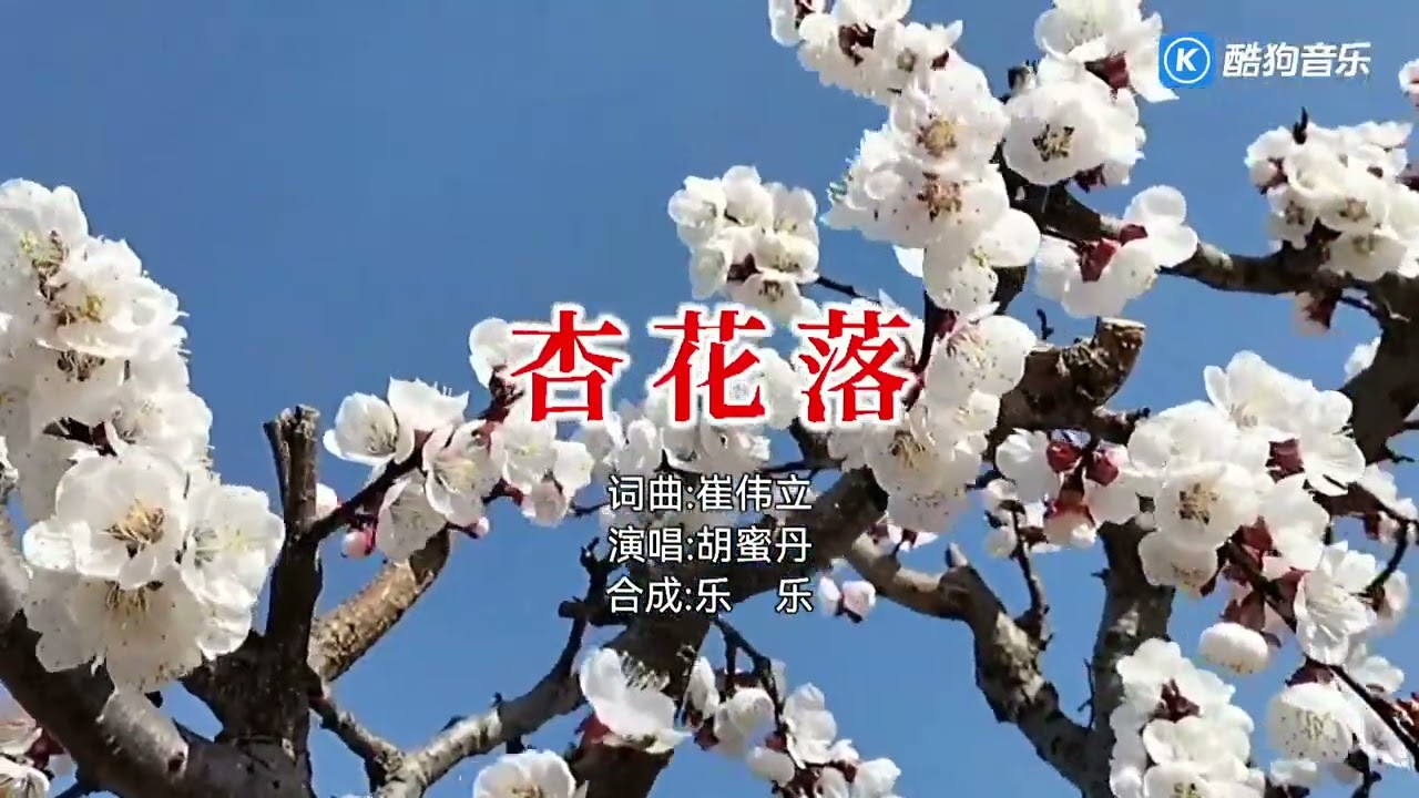 胡蜜丹 杏花落（右伴左唱）