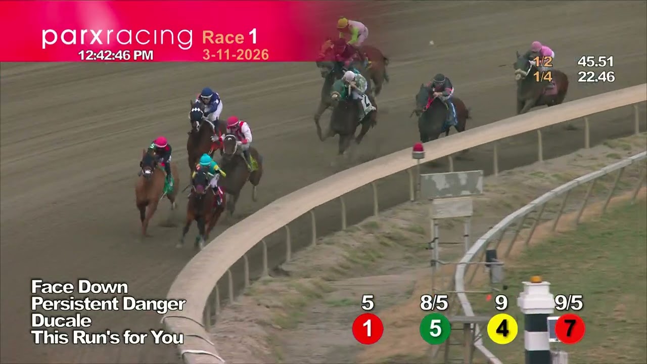 Гонка №1 03.11.26