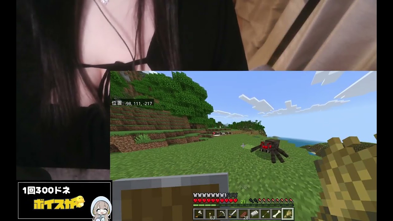 マインクラフト