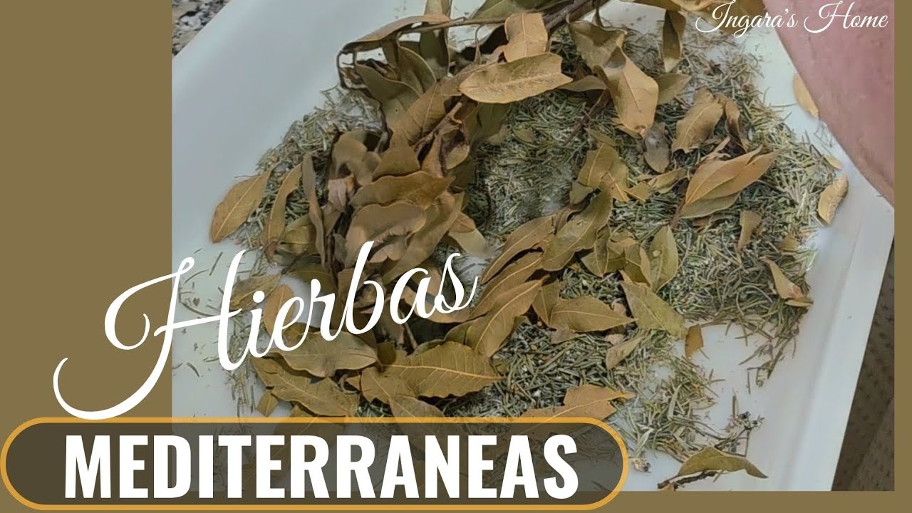Hierbas mediterráneas : Como conservarlas!