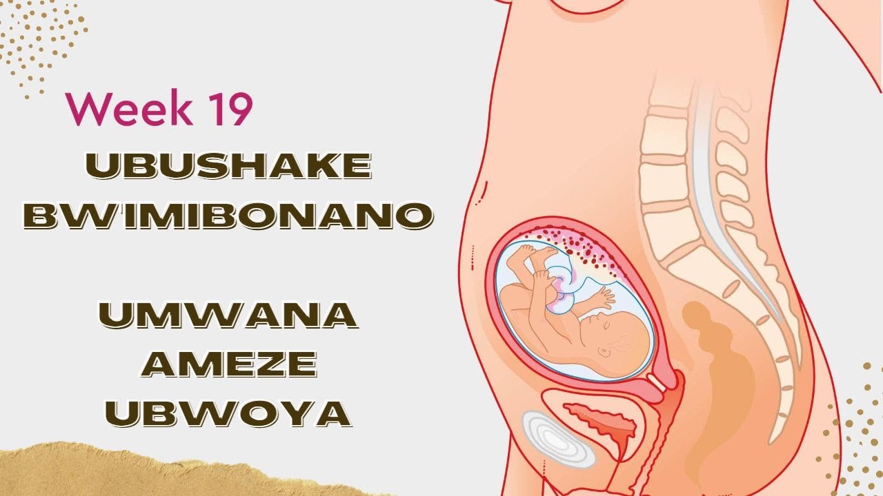 GUTWITA ICYUMWERU 19: UBUSHAKE BW'IMIBONANO? UMWANA AMEZE UBWOYA... IBYO USABWA KWIHUTIRA GUKORA
