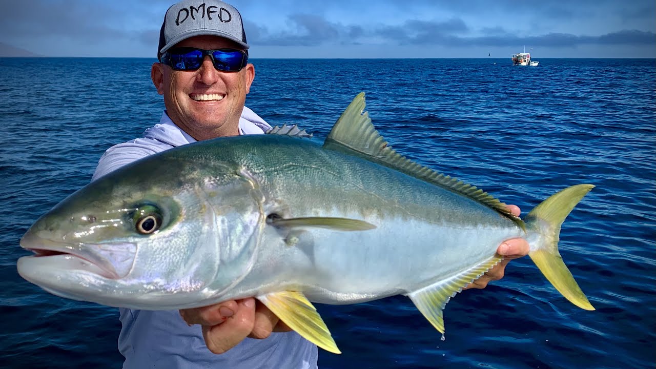 Pacific Yellowtail {Catch Clean Cook} Mag Bay, Mexico