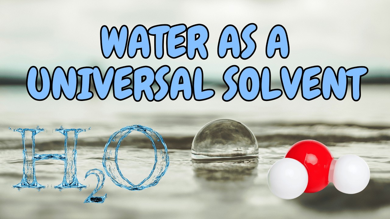 Why Water is the Universal Solvent? #chemistry #sm-educate