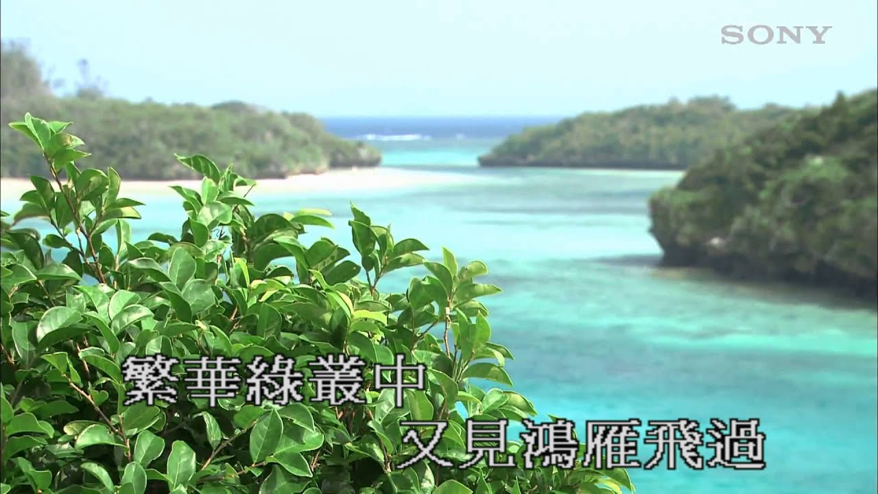 何年何月再相逢