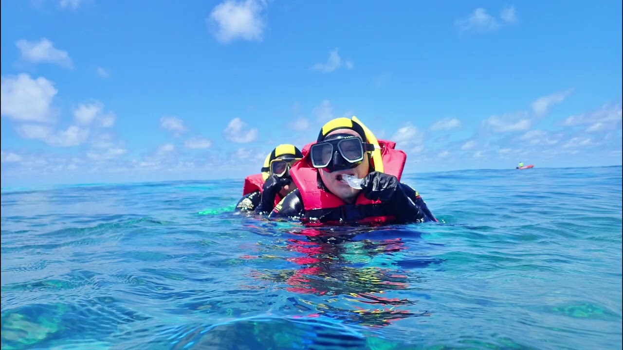 Great Barrier Reef: Exploring the Underwater World - Michaelmas Cay, Australia