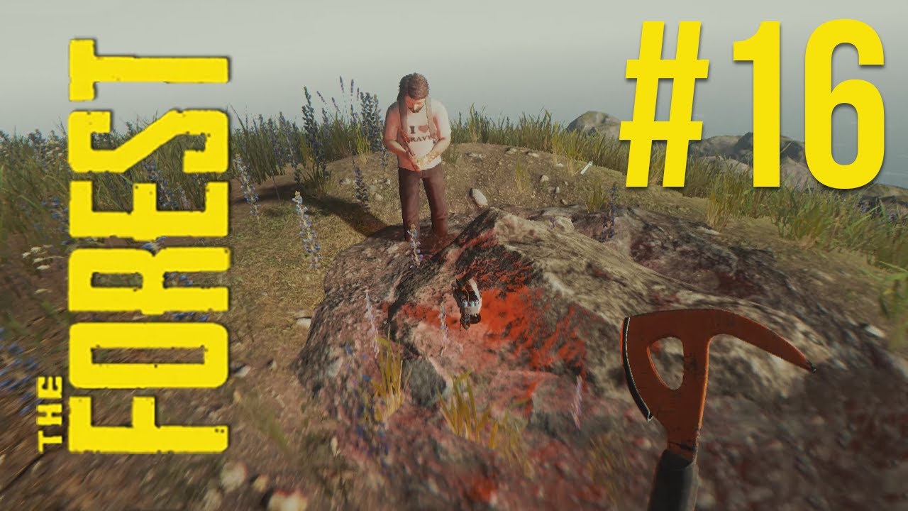 The Forest | Velk&yacute; průzkum! | w/ GEJMR #16