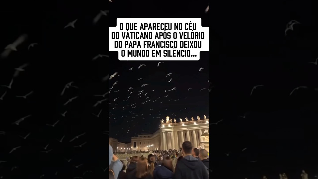 No fim do vel&oacute;rio do Papa Francisco, o c&eacute;u do Vaticano foi tomado por gaivotas e pombos brancos.