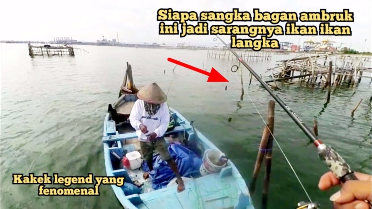 Nekat mancing di Bagan Ambruk!!! Ternyata bisa strike ikan-ikan langkah [ mancing semarang ]