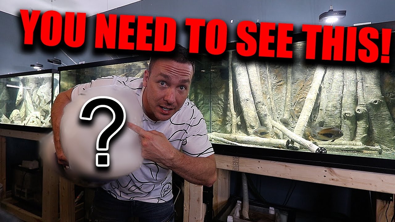 Aquarium filtration media I have used for 15 years