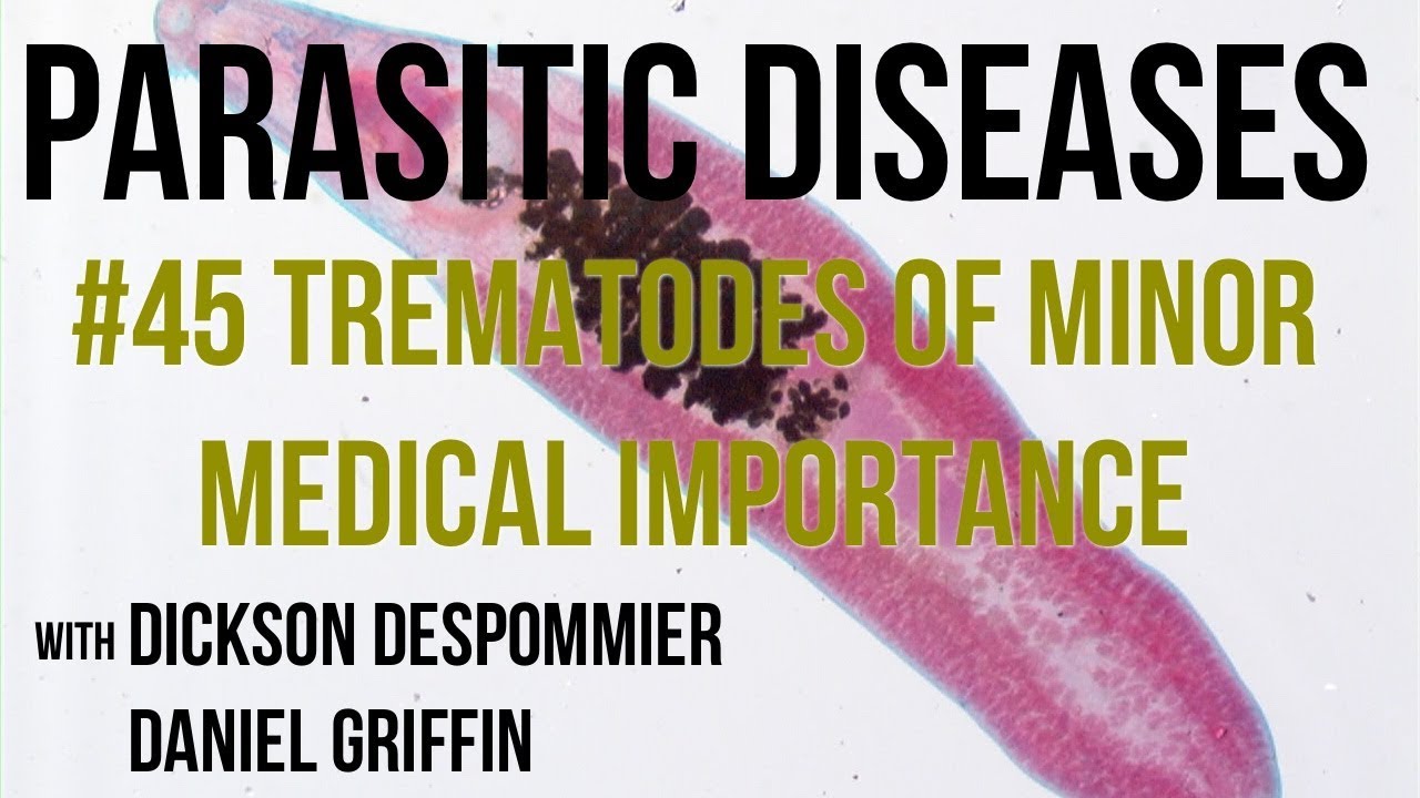 Parasitic Diseases Lectures #45: Trematodes of Minor Medical Importance