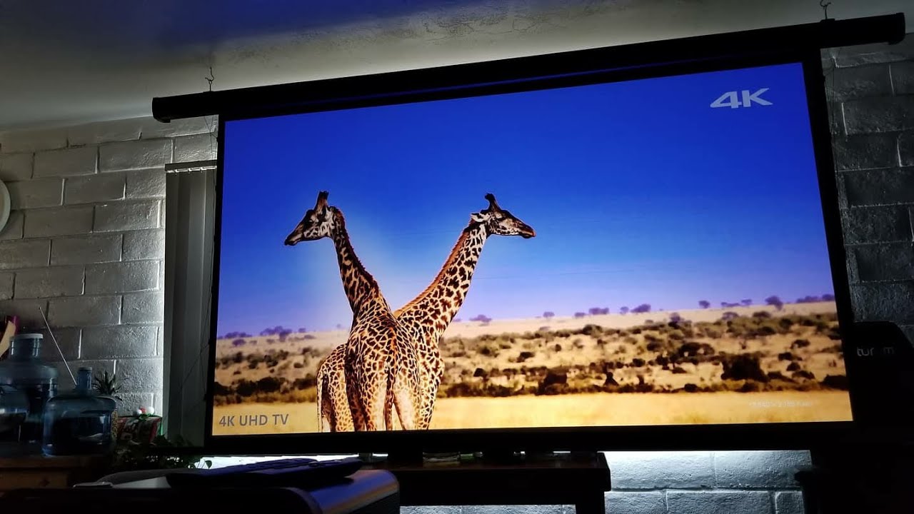 Elite Screen CineGrey 5D La mejor pantalla para tu projector