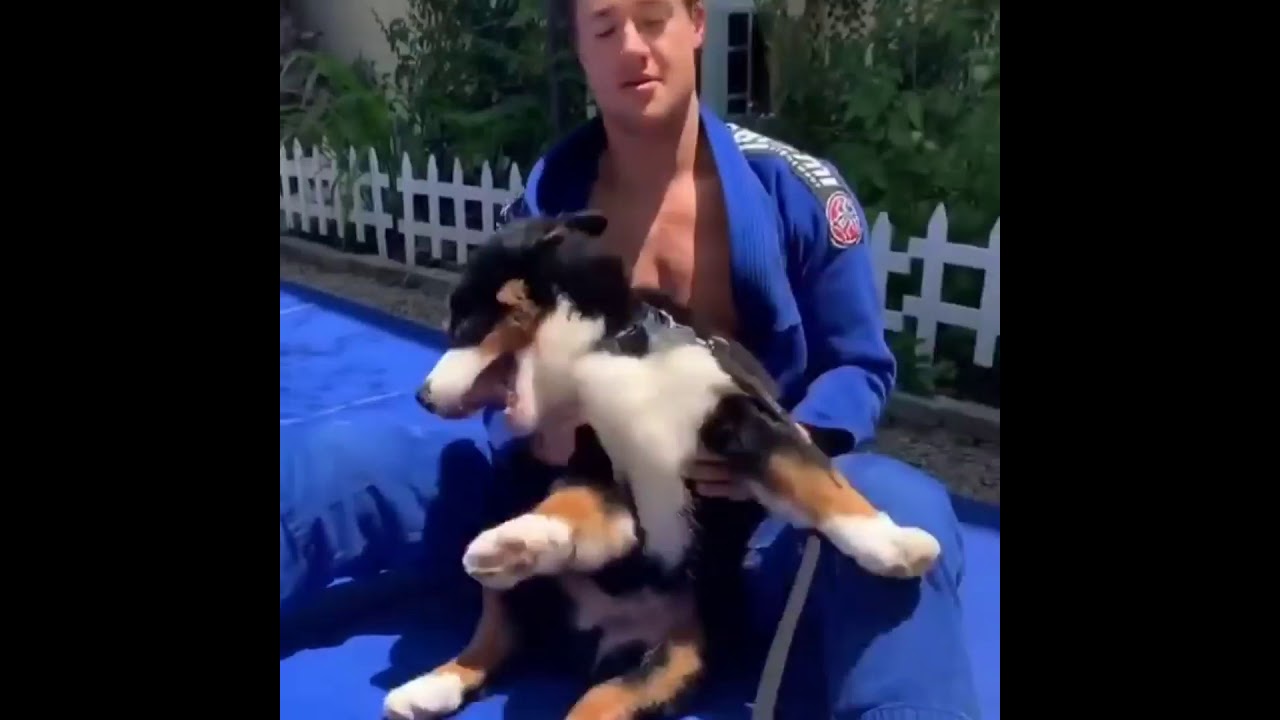Alexander Dreymon with Floki the bernese mountain dog pup, cute!!