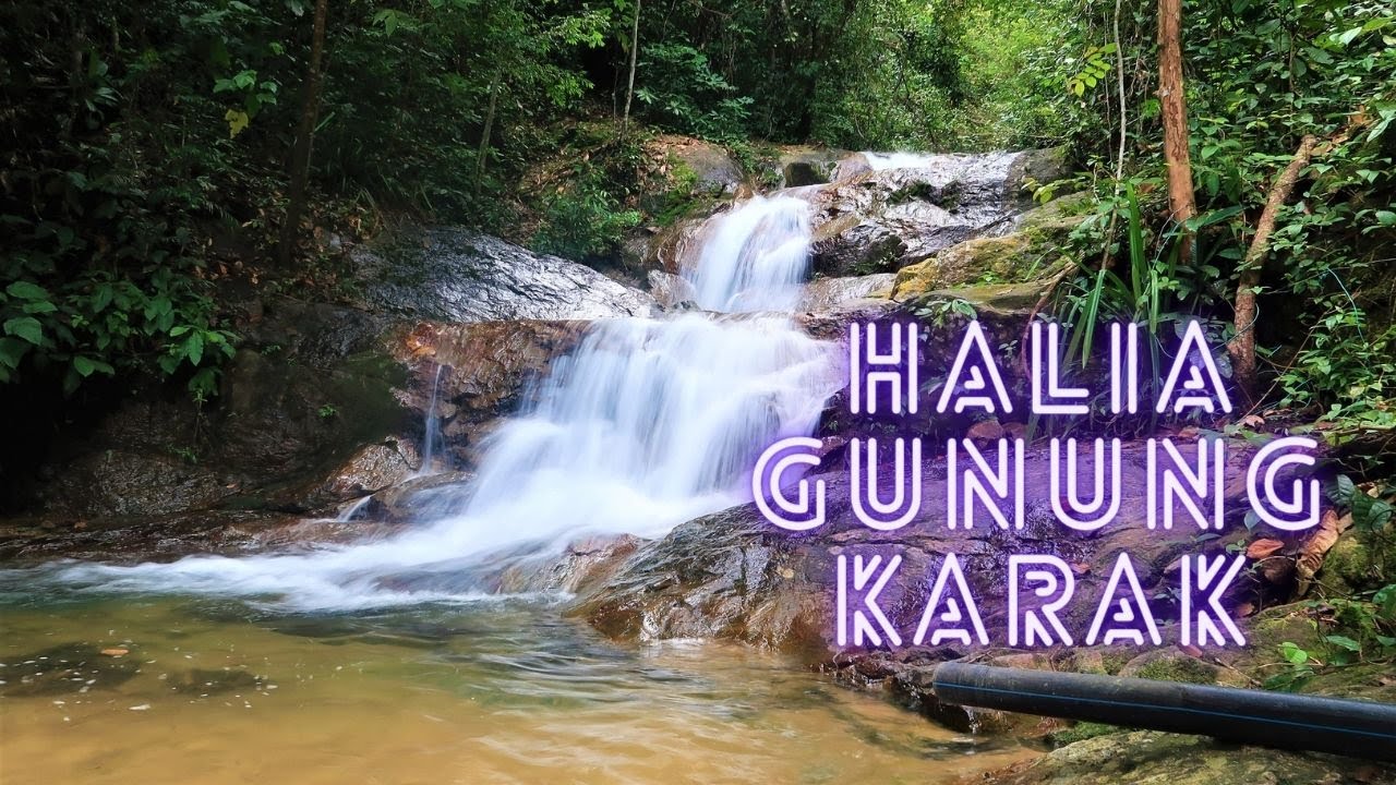 Halia Gunung Karak @ Bentong | Beautifull Hidden Waterfall | New Years Eve Hike.