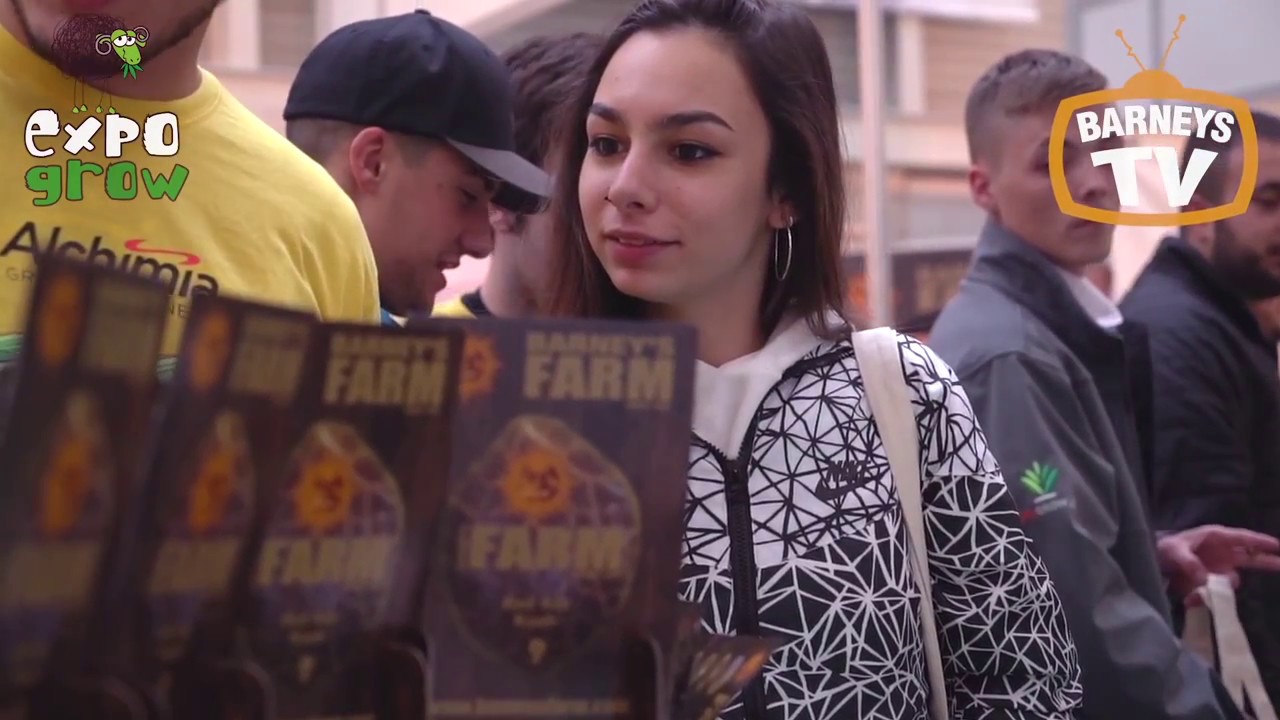 Barneys Farm @ ExpoGrow 2017 - Irun Spain - Barneys TV