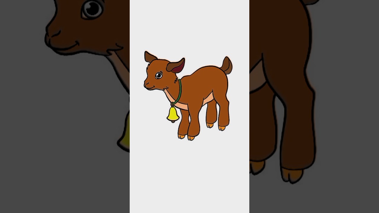 how to colour a baby goat 🐐| easy colour drawing