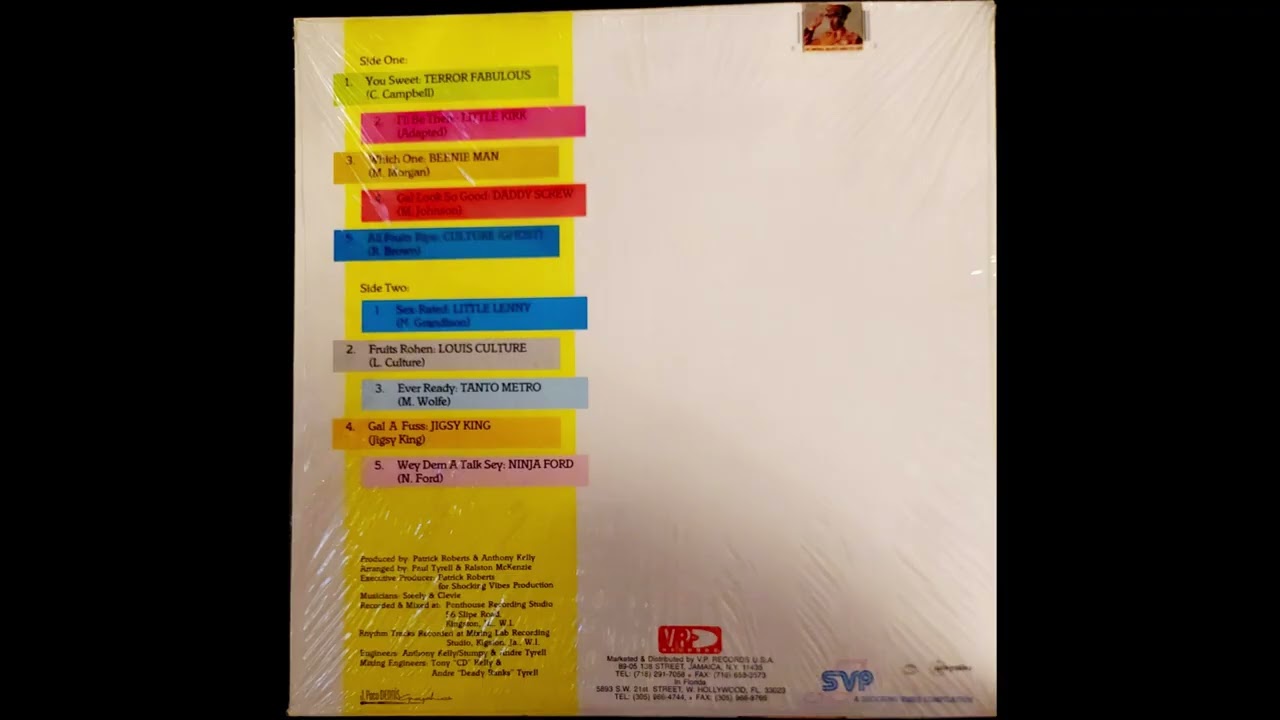 Ninja Ford - Wey Dem A Talk Sey - 1992 - Ever Ready Riddim - TOPDON SELECTIONS