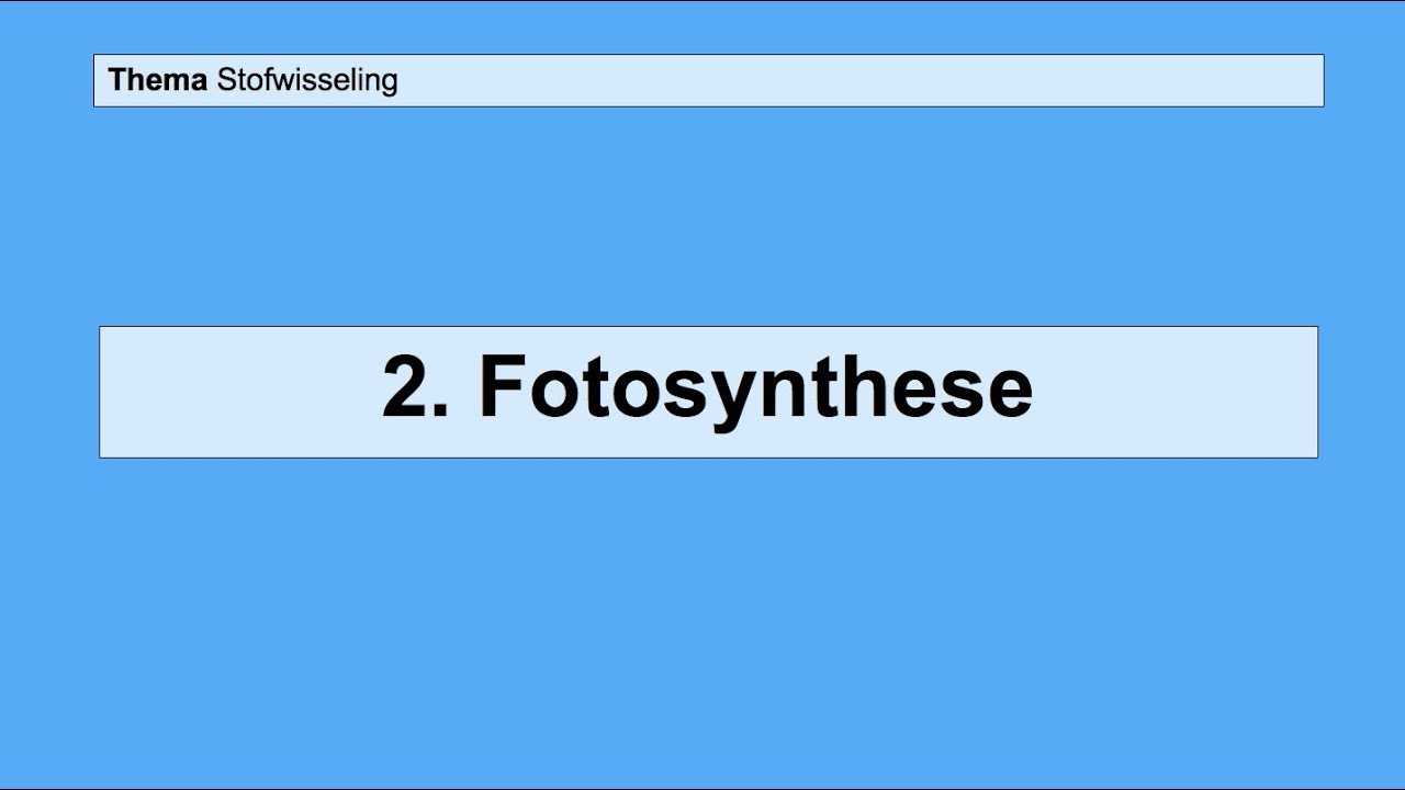 Basisstof 2 Fotosynthese