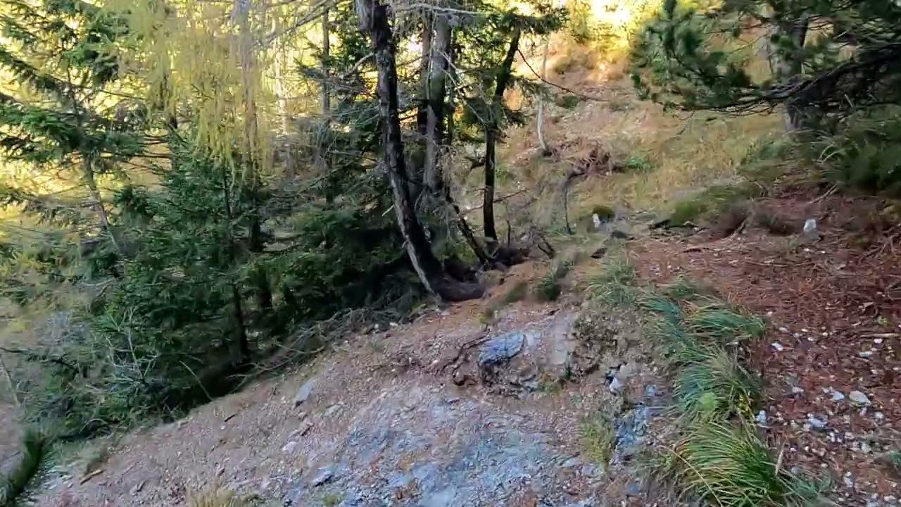 MTB Sella Somdogna bivacco battaglione Gemona cima del Jof di Miezegnot