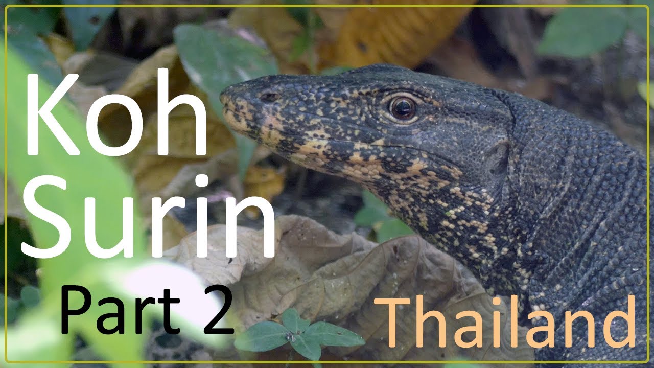 Snorkeling and Camping at Koh Surin, Thailand - Part 2