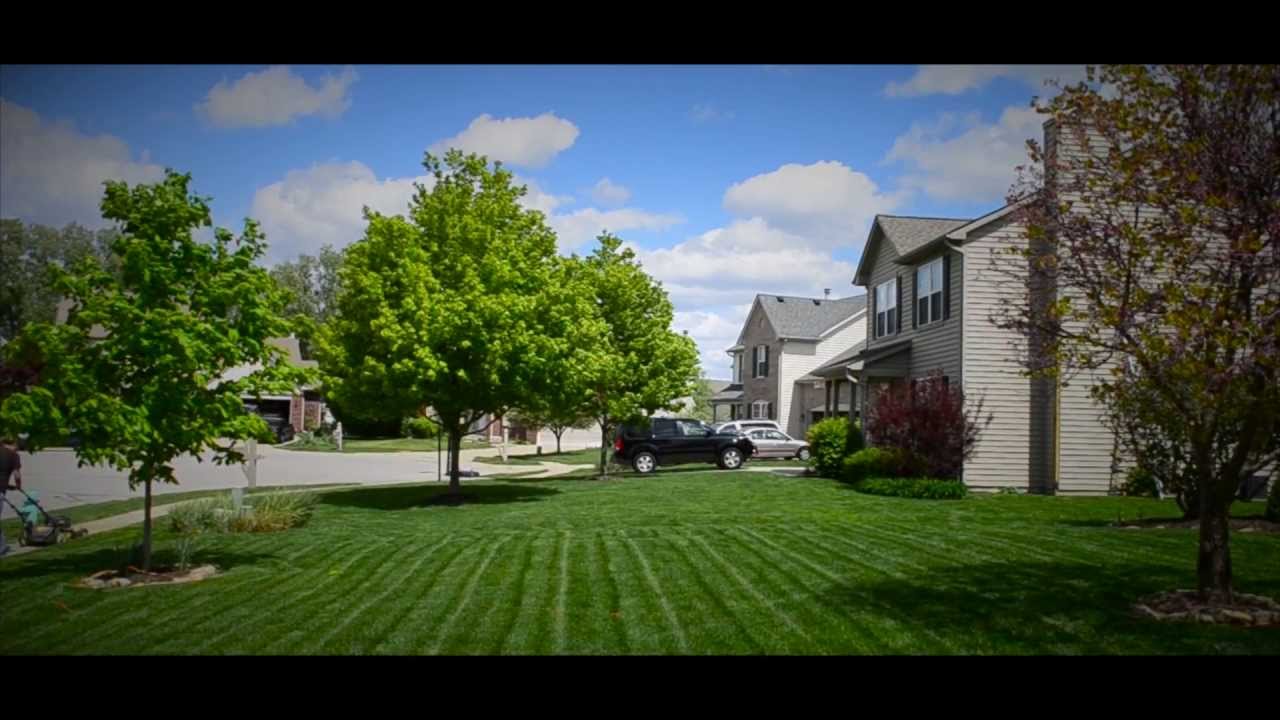 TBM-Spring Videography