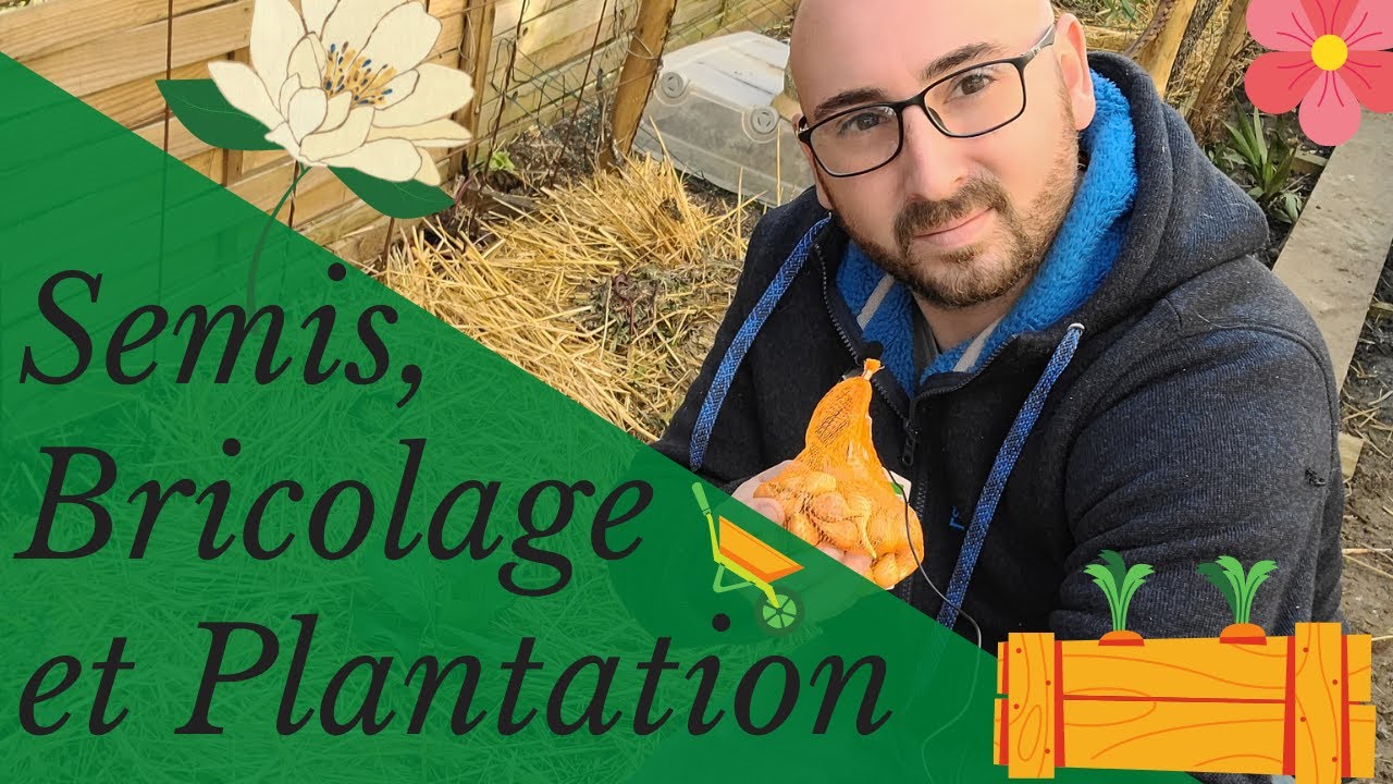 Bac de culture, semis et plantation POTAGER