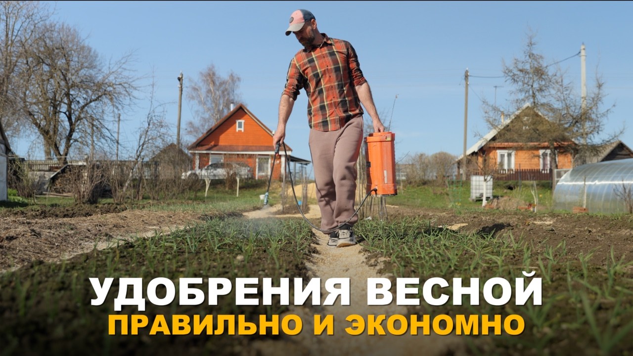 ПРАВИЛЬНАЯ ВЕСЕННЯЯ ПОДКОРМКА. Весенняя подкормка: сроки, нормы и удобрения для разных культур.