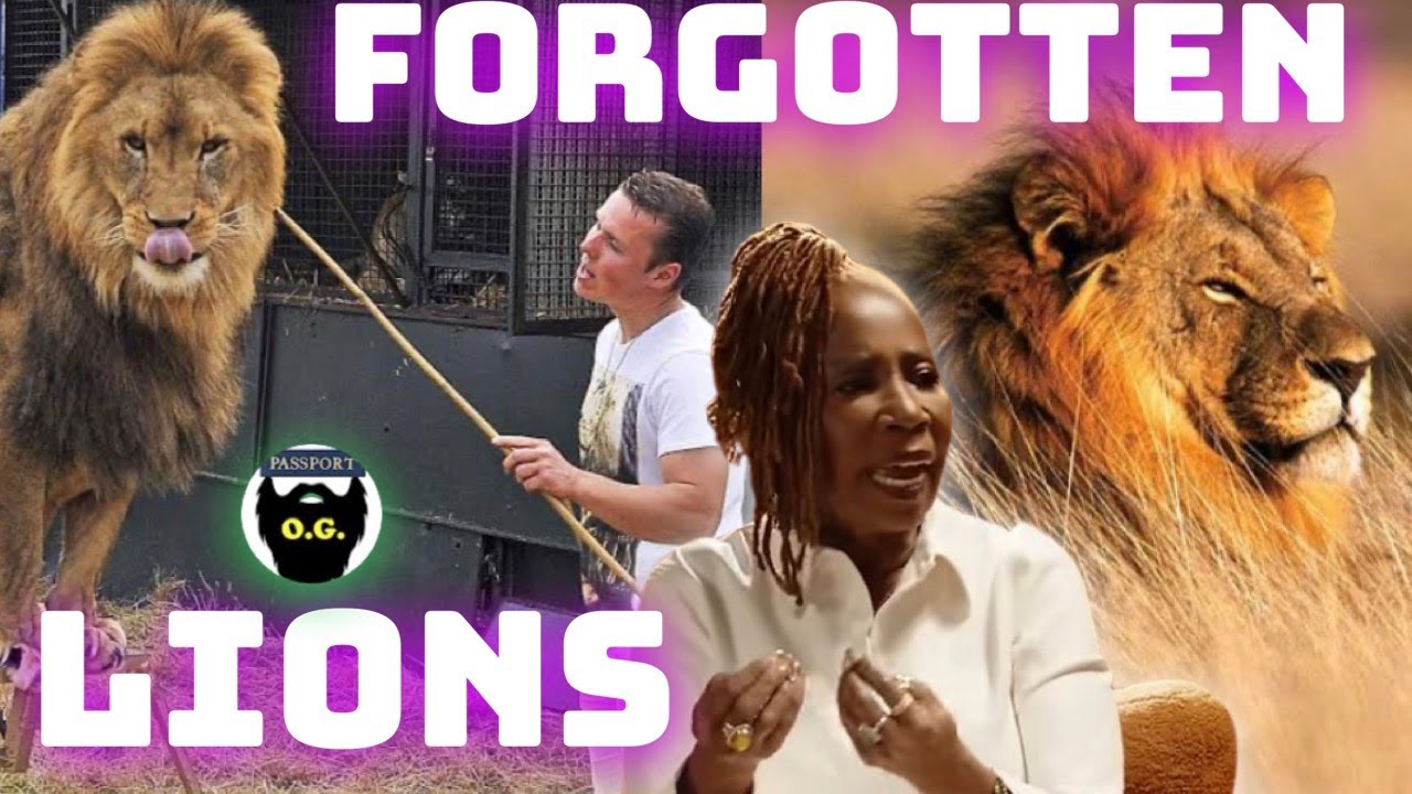 Forgotten Lions: Have 