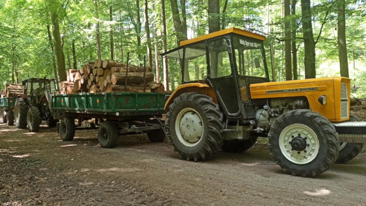 Transport drzewa, okropnie stroma góra, Ursus c360  4x4turbo cały się odrywał, case 4230.