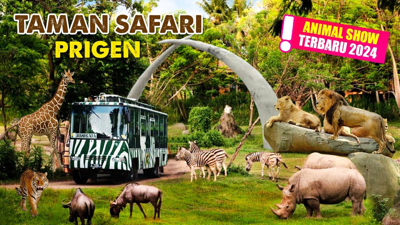 Animal Show & Circus Terbaru 2024 TAMAN SAFARI PRIGEN Explore Terlengkap Pasuruan Jawa Timur