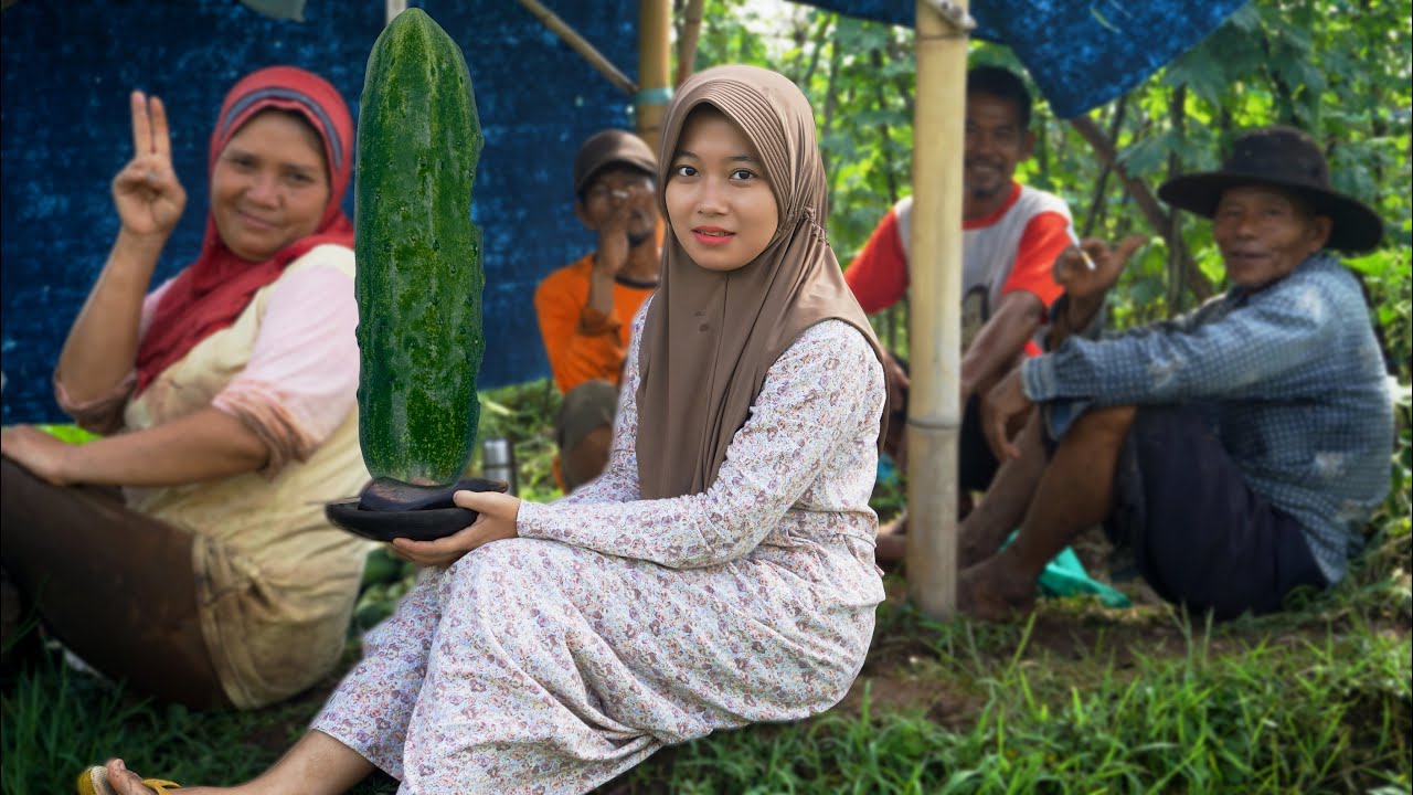 Petik Timun Langsung Di Rujak di Sawah | Hidup Di desa