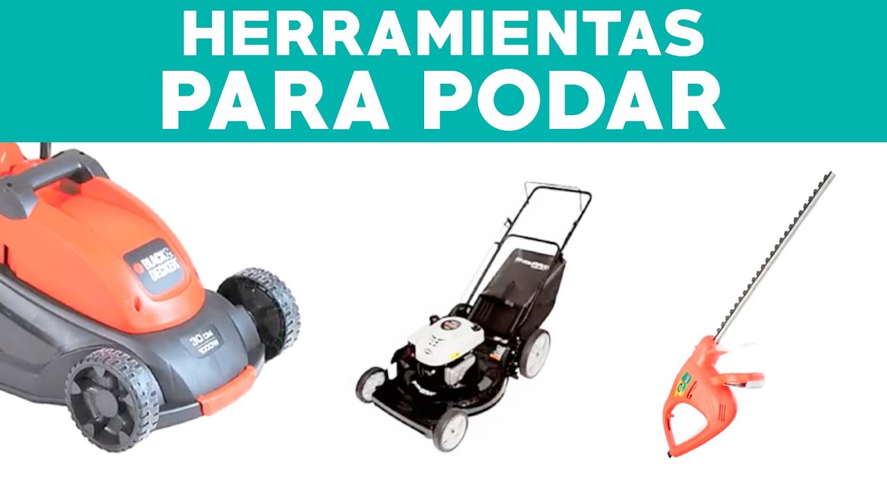 &iquest;C&oacute;mo elegir herramientas para podar?