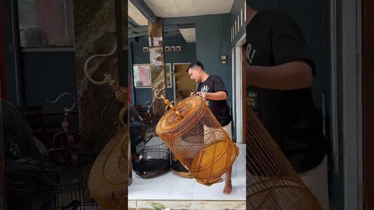 Sangkar murai ceper bestt Seler by karya wood