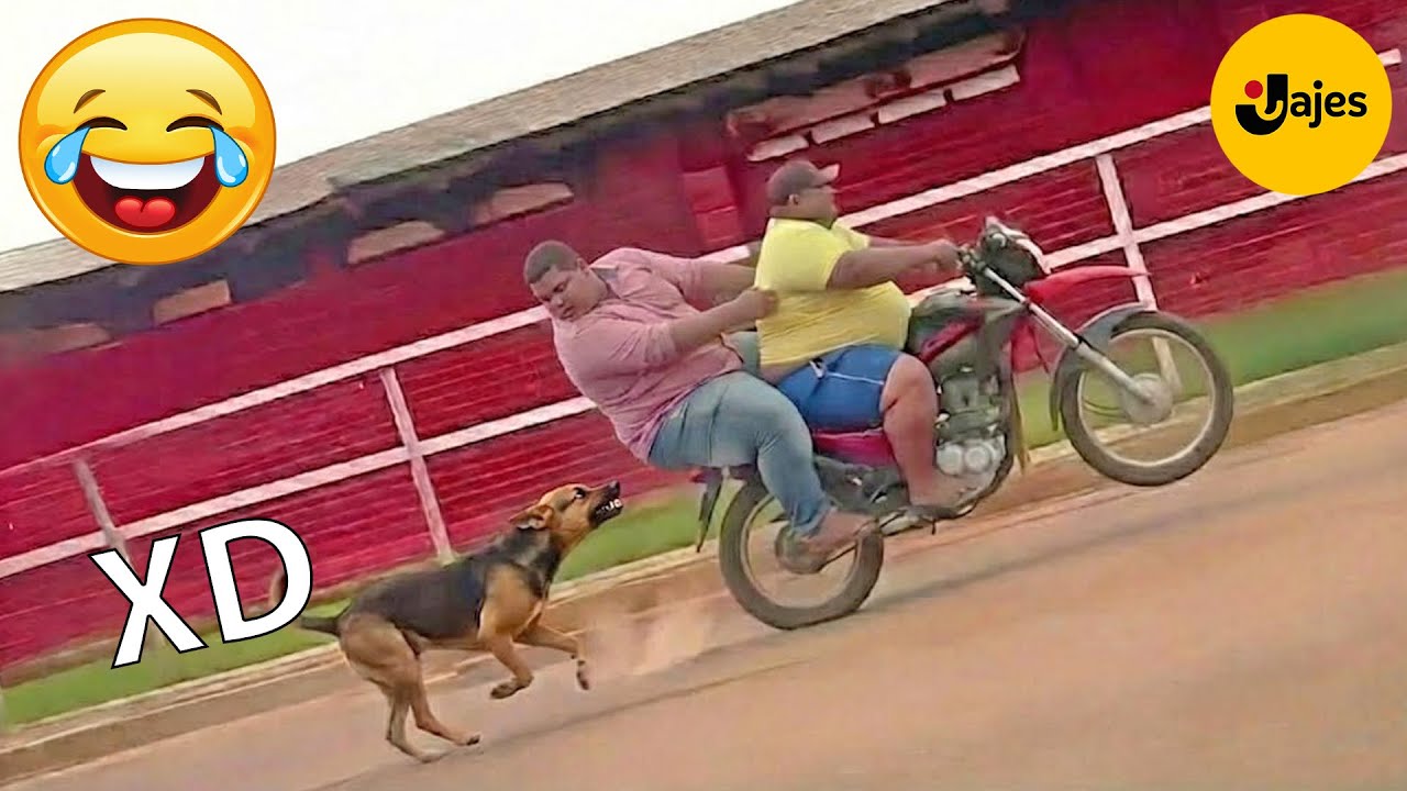 SI TE RÍES PIERDES NIVEL DIOS #152 🤣 VIDEOS DE RISA MUY GRACIOSOS 2025 🤣