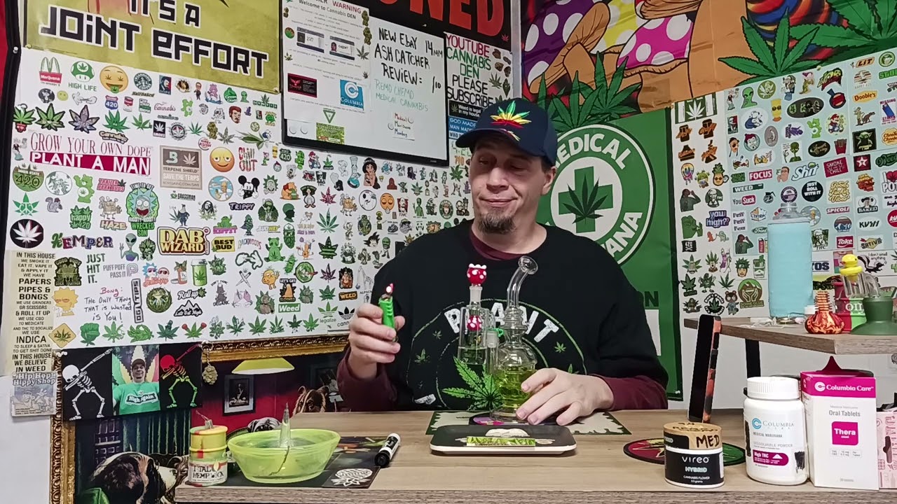 bee mushroom shower head perc ash catcher review = 10/10
