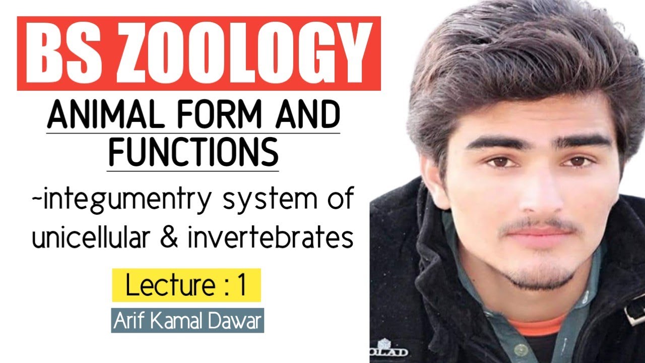 Animal Form And Functions BS Zoology | integumentry system of invertebrates and unicellular | Arif